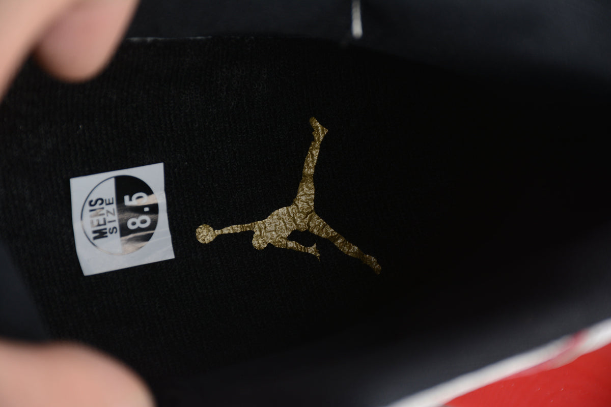AJ 11 "Tinta Platino"