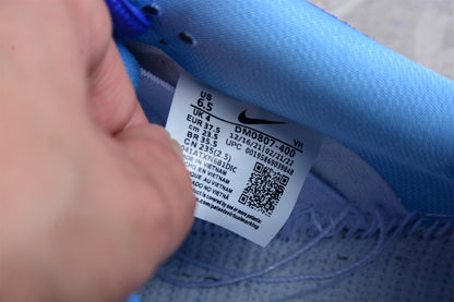 Nike SB Dunk Low Blu Lampone 