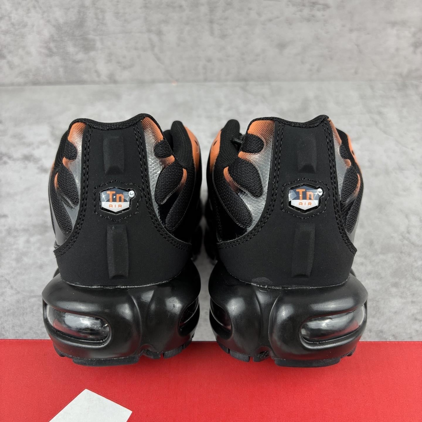 Nike Air Max Plus Tn 