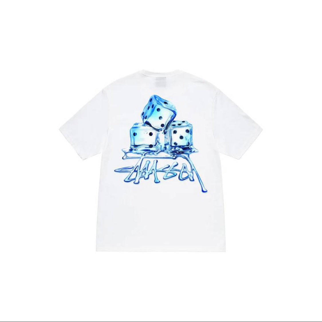 Stussy T-Shirt Melted 