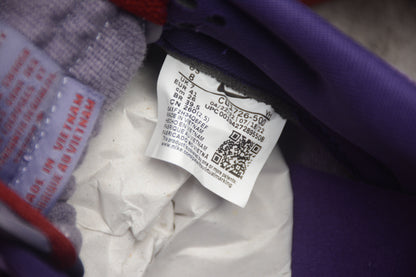 Nike Dunk Low Retro Vol. 1 SP Pflaume 