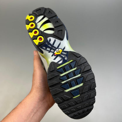 Air Max Plus TN „Metallic Silver“ 