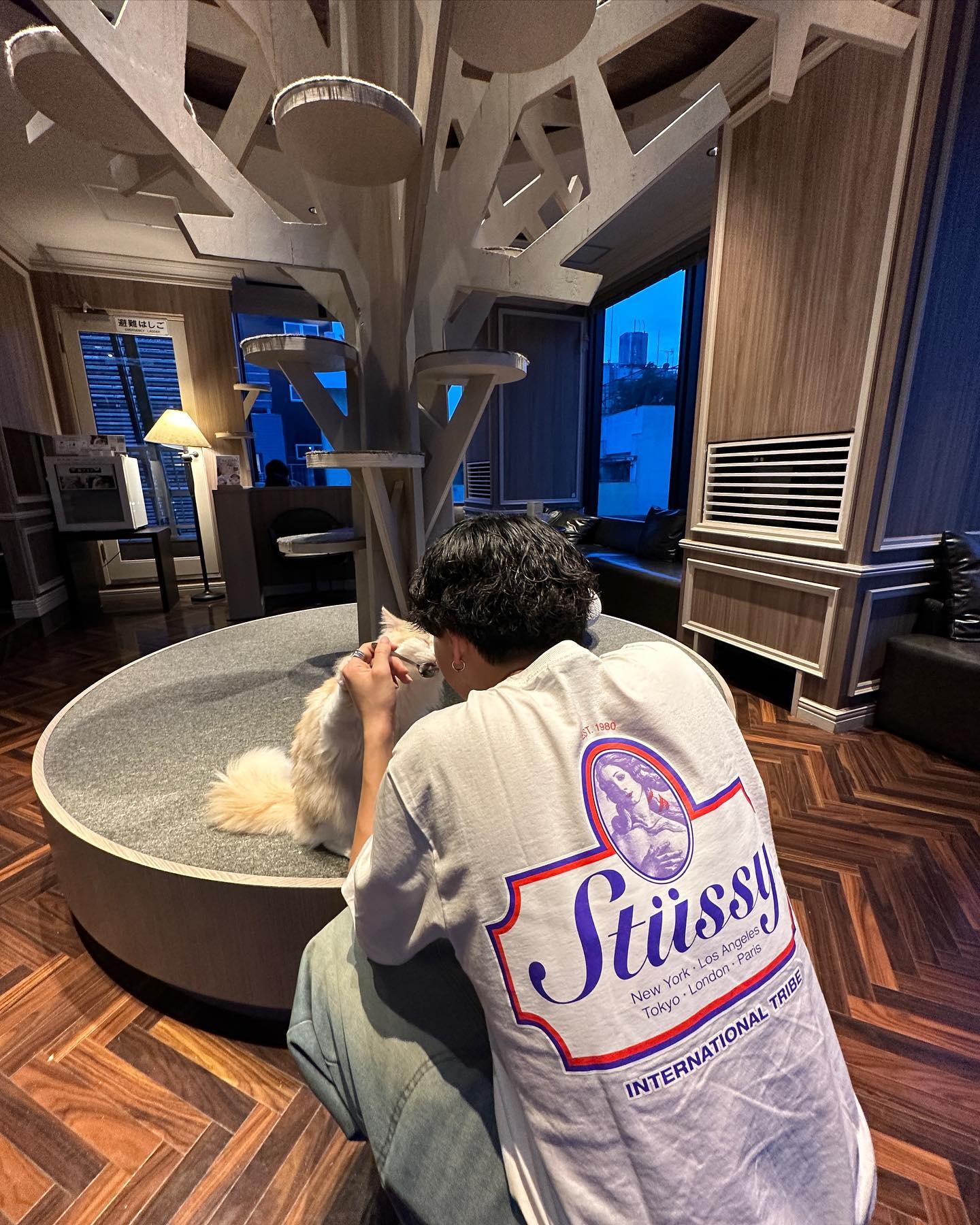 Maglietta Stussy autentica 