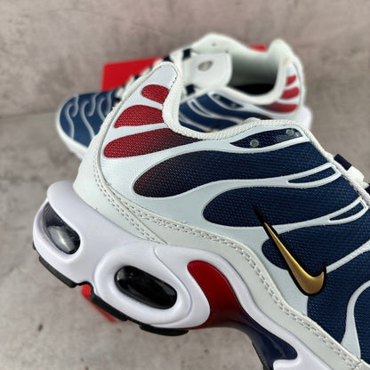 PS G x Air Max Plus Tn 1