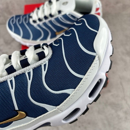 PS G x Air Max Plus Tn 1