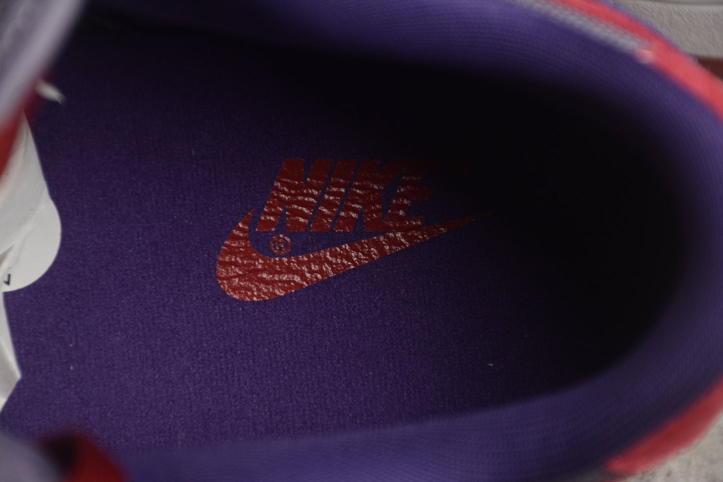 Nike Dunk Low Retro Vol. 1 SP Pflaume 