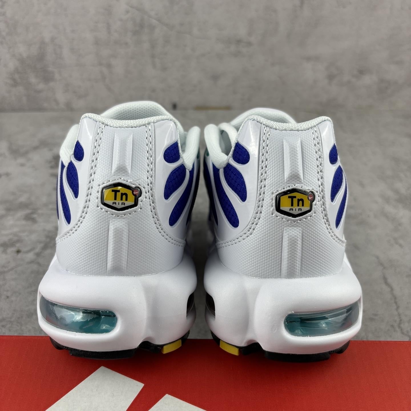 Nike Air Max Plus Tn 