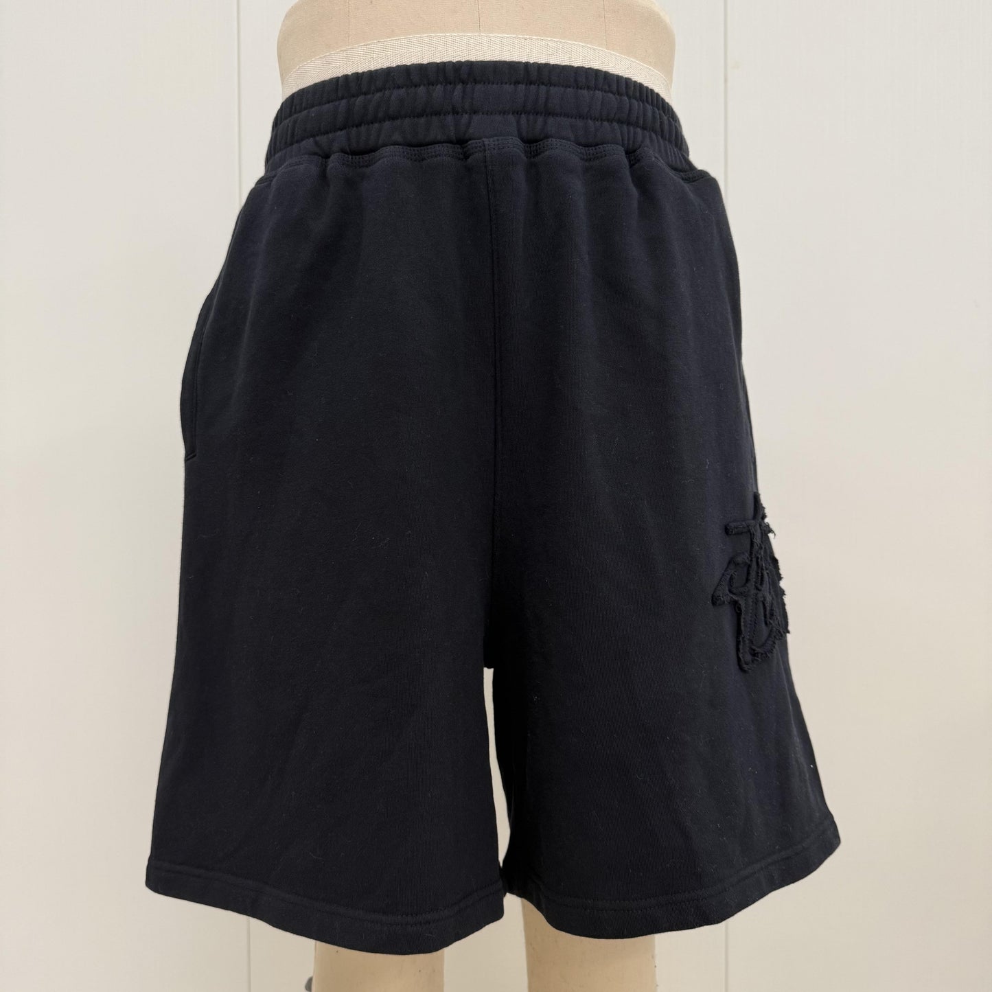 Stussy Shorts