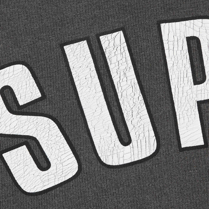Supreme SS24 T-Shirt Cracked Arc 