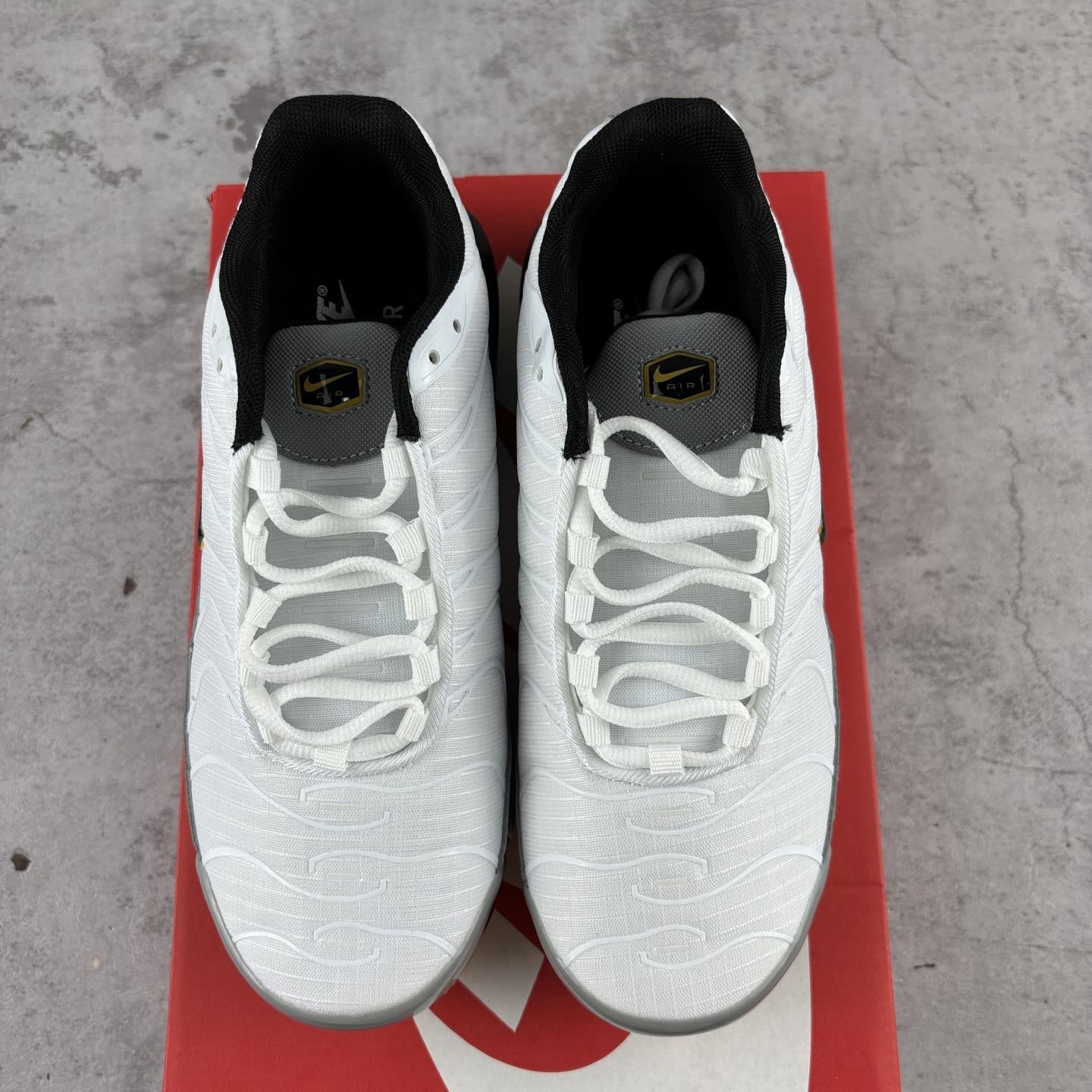 Nike Air Max Plus Tn 