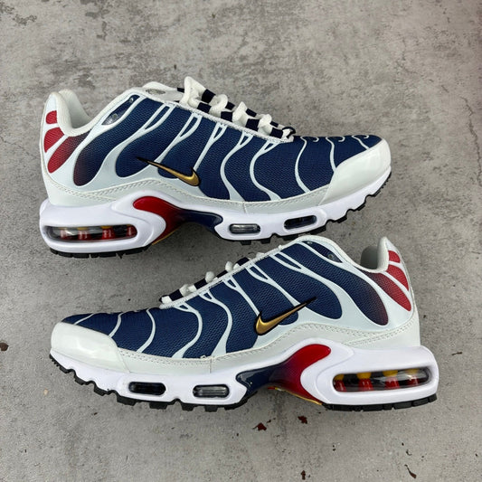 PS G x Air Max Plus Tn 1