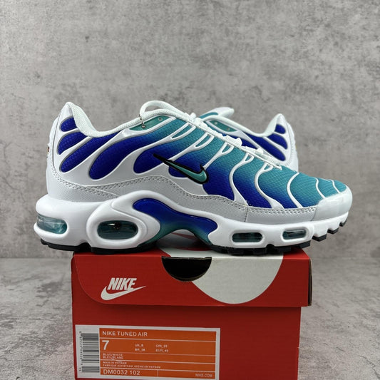 Nike Air Max Plus Tn 