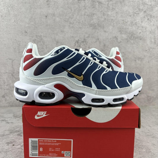 Nike Air Max Plus Tn 