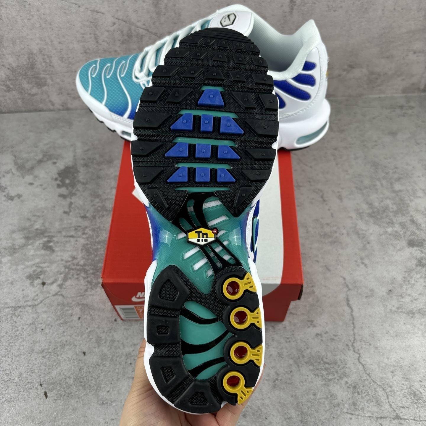 Nike Air Max Plus Tn 
