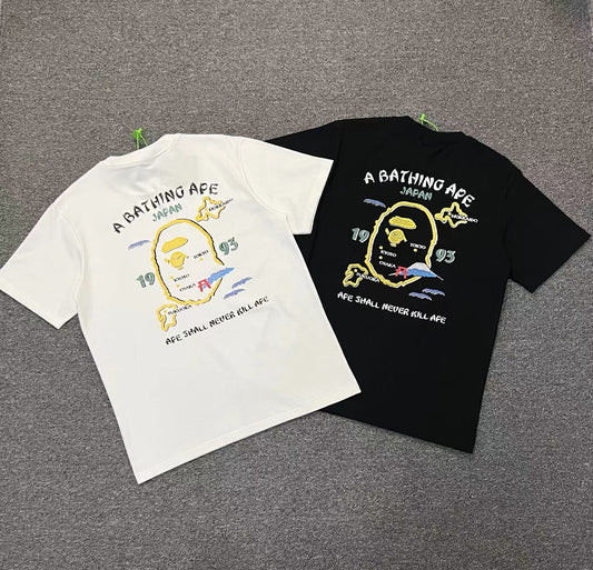 Camiseta de PA