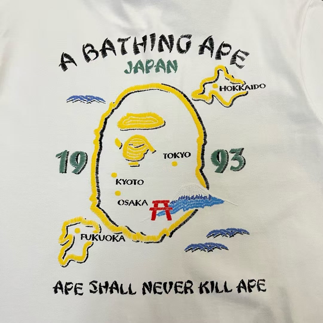 Camiseta de PA