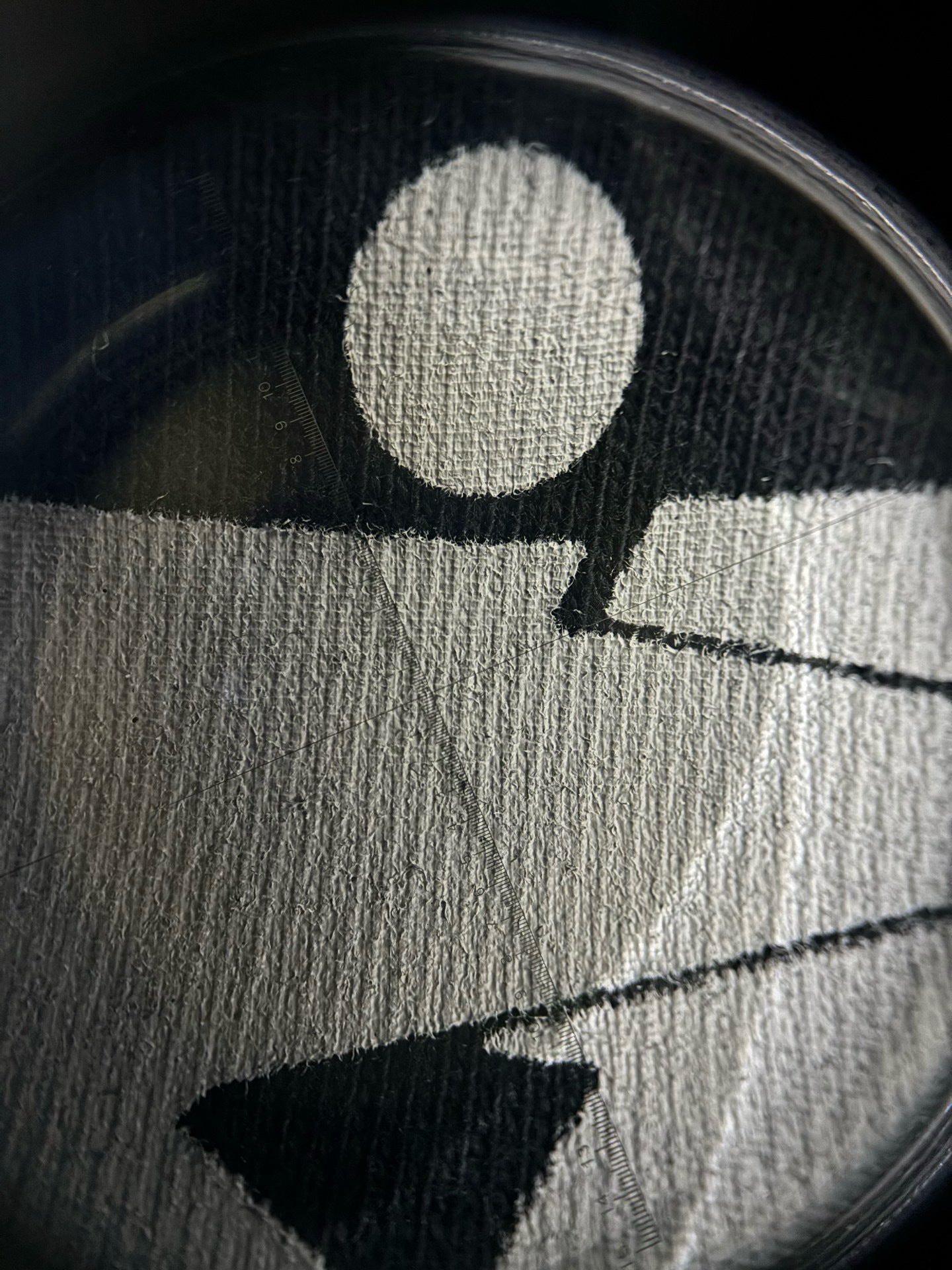 Camiseta Stu