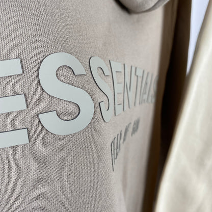 FOG x Essentials Hoodie PE21