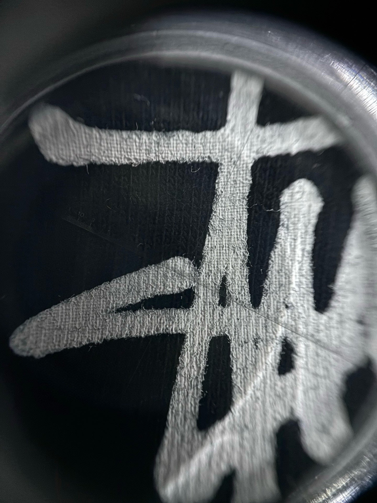 Camiseta de Stu